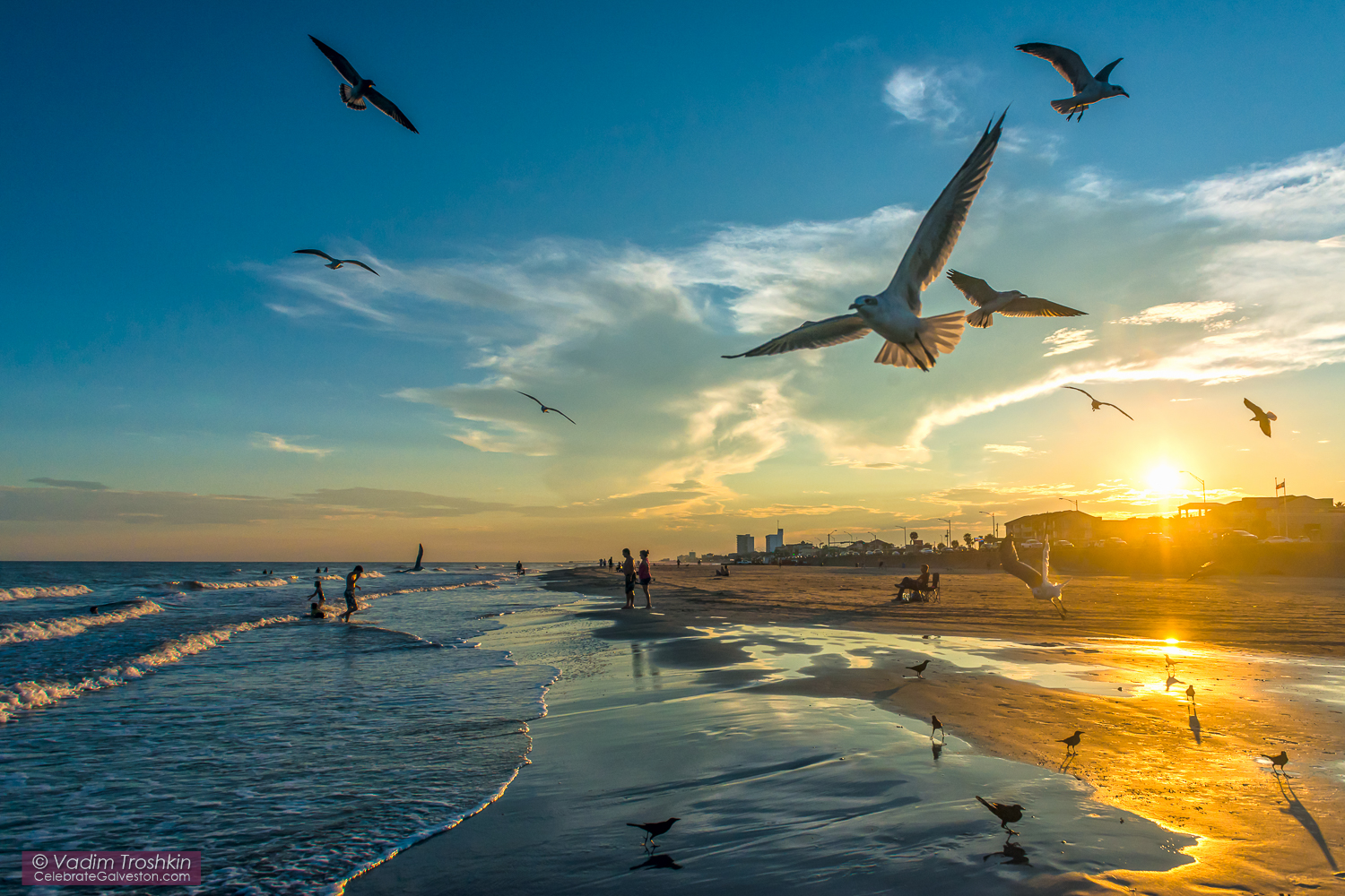 October 2015. Galveston Blog